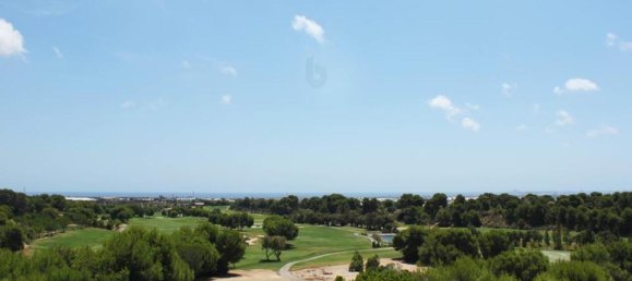 2 bedrooms Apartment in Pilar de la Horadada, Spain No. 10363 18