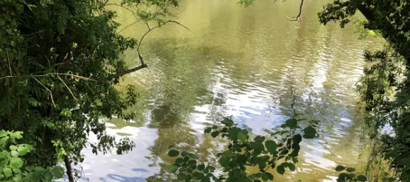 قطعة أرض في Burgenlandkreis, Germany 2850متر مربع رقم 330723 7