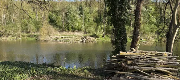 قطعة أرض في Burgenlandkreis, Germany 2850متر مربع رقم 330723 9