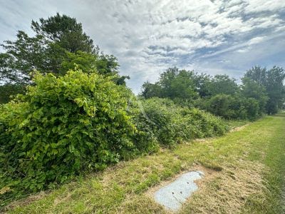 2257m² Land in Thesee, France No. 276100