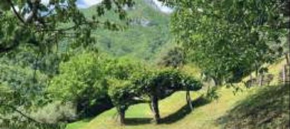 5 bedrooms House in Fabbriche di Vergemoli, Italy No. 315588 4