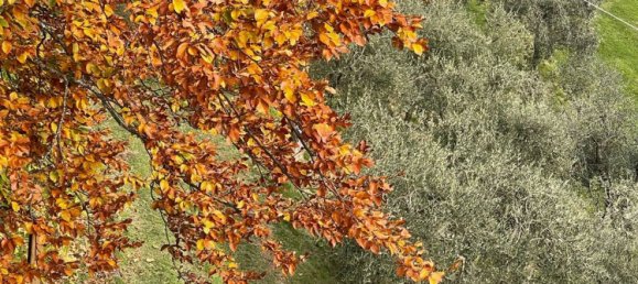 5 bedrooms House in Fabbriche di Vergemoli, Italy No. 315588 18