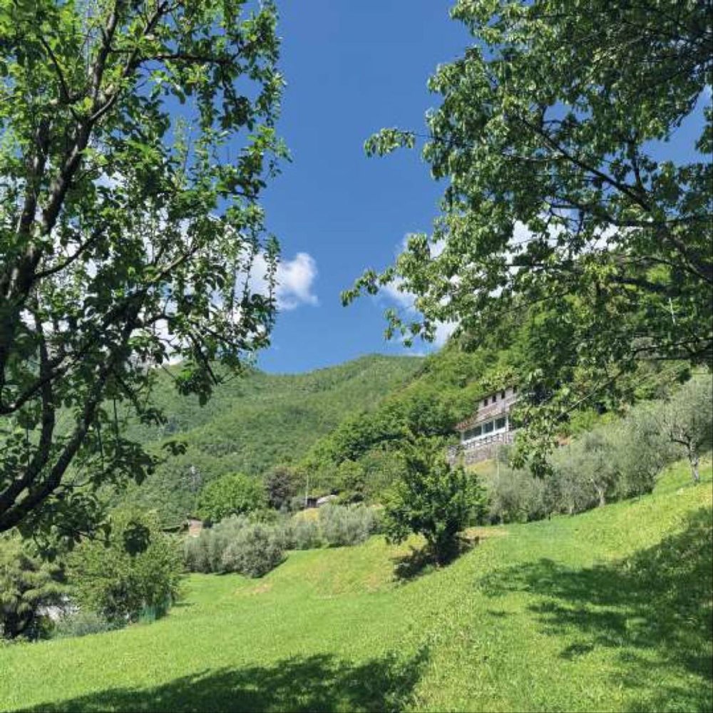 5 bedrooms House in Fabbriche di Vergemoli, Italy No. 315588