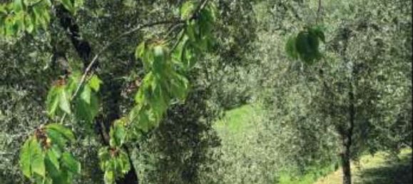 5 bedrooms House in Fabbriche di Vergemoli, Italy No. 315588 3