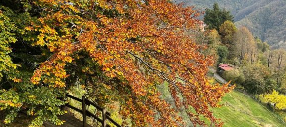 5 bedrooms House in Fabbriche di Vergemoli, Italy No. 315588 19