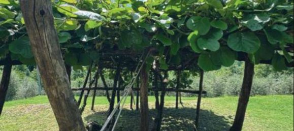 5 bedrooms House in Fabbriche di Vergemoli, Italy No. 315588 2