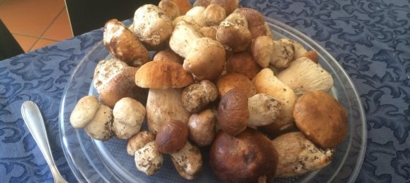 5 bedrooms House in Fabbriche di Vergemoli, Italy No. 315588 20