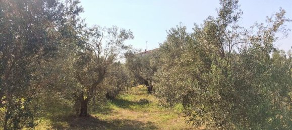 6 bedrooms Commercial property in Epanomi, Greece No. 4493 20