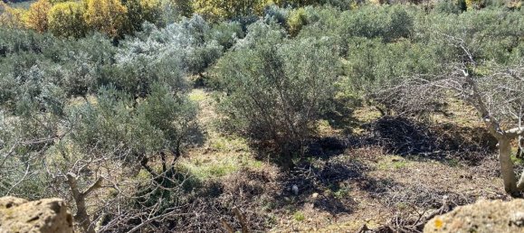 7 rooms Villa in Casaprota, Italy No. 202210 9