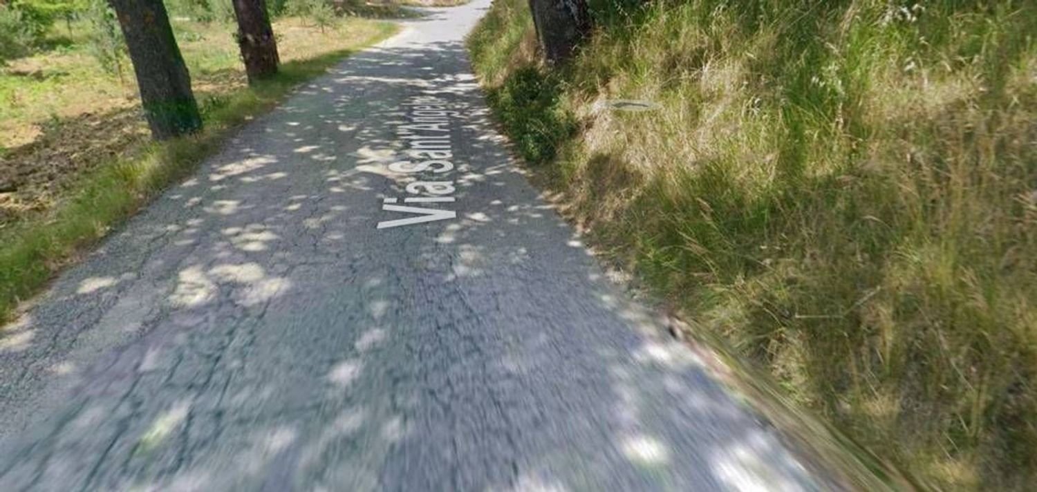 69346m² Land in Serra de' Conti, Italy No. 332613