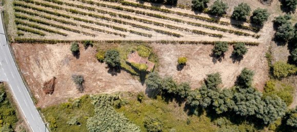 2 bedrooms House in Coimbra, Portugal No. 35552 3