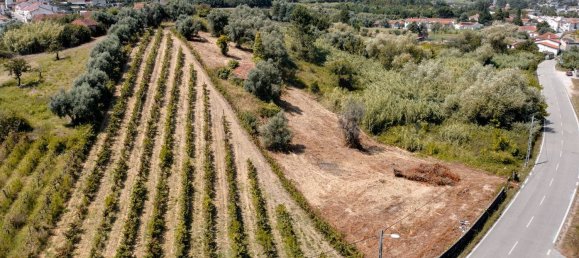 2 bedrooms House in Coimbra, Portugal No. 35552 8