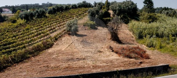 2 bedrooms House in Coimbra, Portugal No. 35552 11