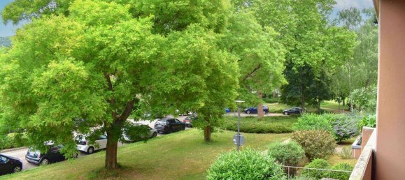 1 غرف نوم شقة في Heidelberg, Germany رقم 316060 2