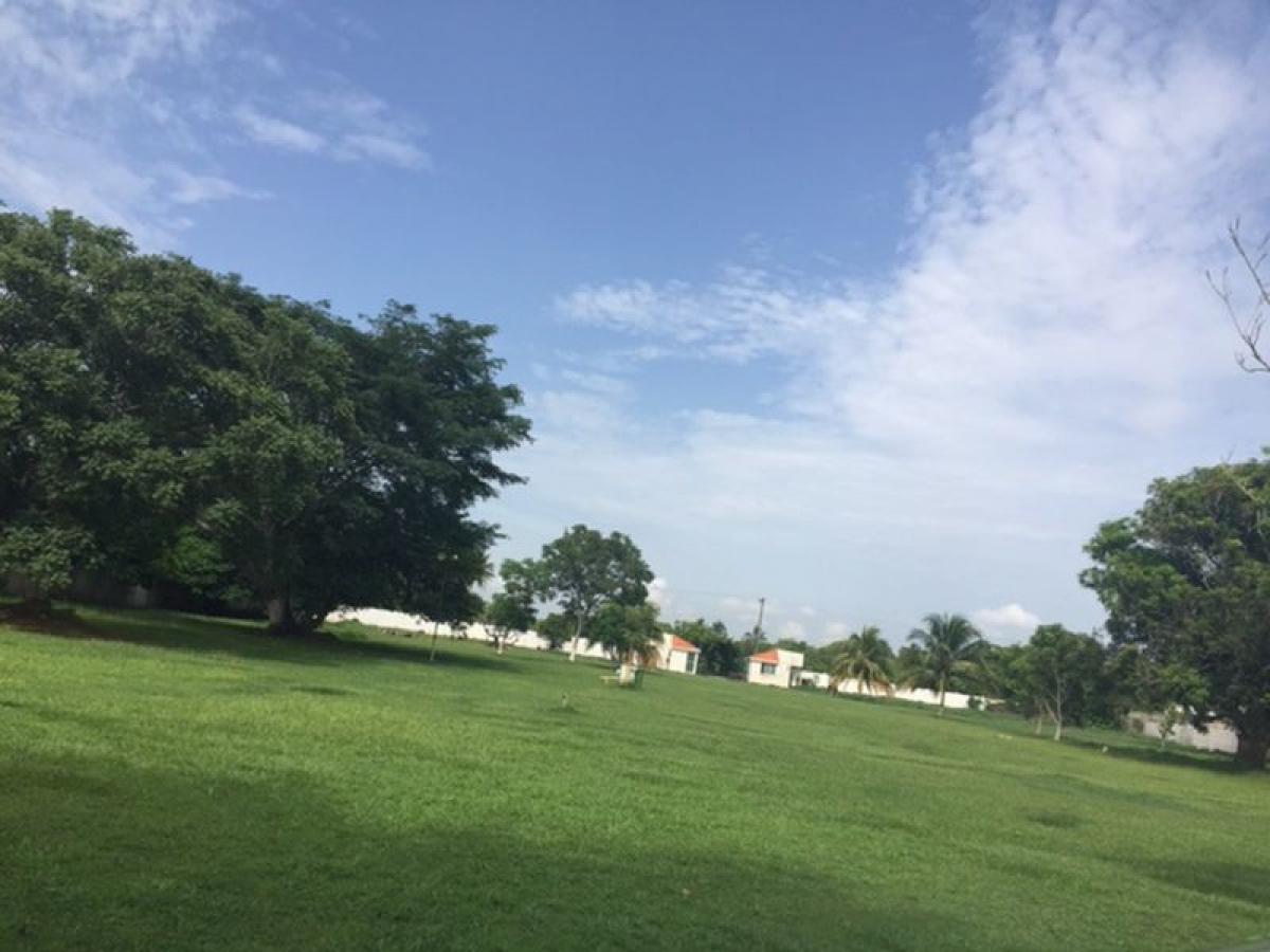  قطعة أرض في Veracruz, Mexico رقم 203525