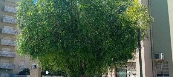 4 غرف نوم شقة في Vita, Italy رقم 343064 24