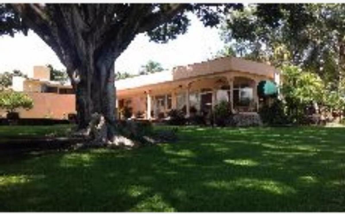 3 bedrooms House in Morelos, Mexico No. 152112