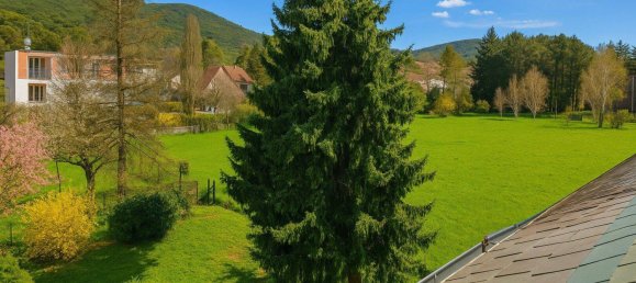 9-Zimmer Stadthaus in Liesing, Austria, Nr. 168030 3