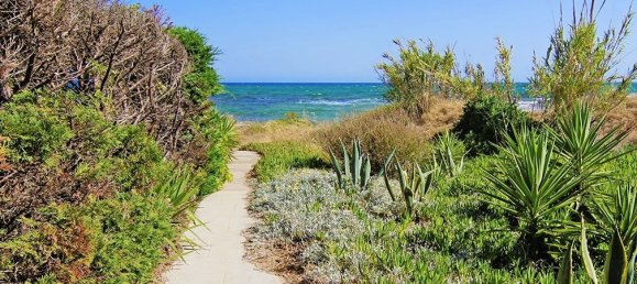 3 bedrooms Villa in Ayia Napa, Cyprus No. 21923 19