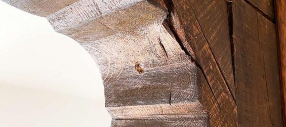 Ферма с 9 комнатами в Burscheid, Германия № 347675 13