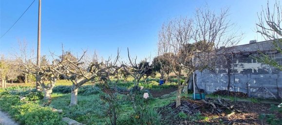 3-Zimmer Haus in Cutrofiano, Italy, Nr. 142412 9