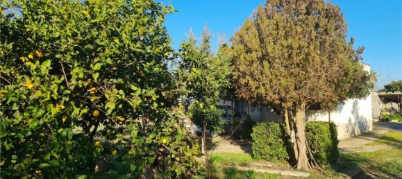 3-Zimmer Haus in Cutrofiano, Italy, Nr. 142412 2