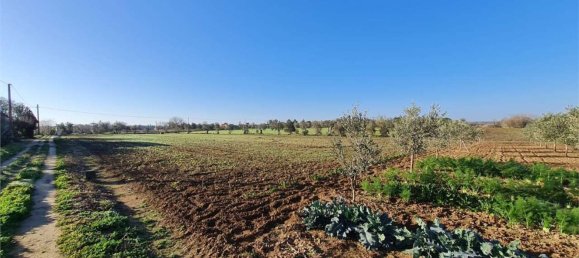 3-Zimmer Haus in Cutrofiano, Italy, Nr. 142412 11