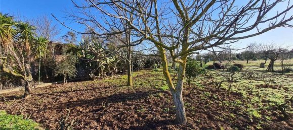 3-Zimmer Haus in Cutrofiano, Italy, Nr. 142412 12