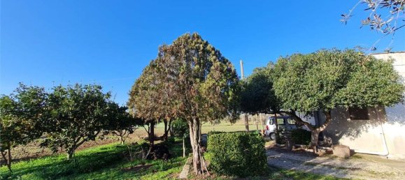 3-Zimmer Haus in Cutrofiano, Italy, Nr. 142412 3