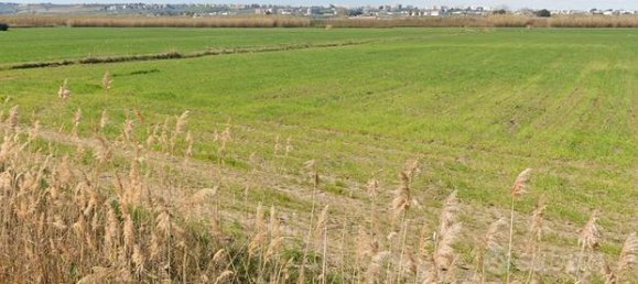 8600m² Land in Campomarino, Italy No. 257336 6