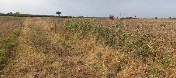 8600m² Land in Campomarino, Italy No. 257336 3