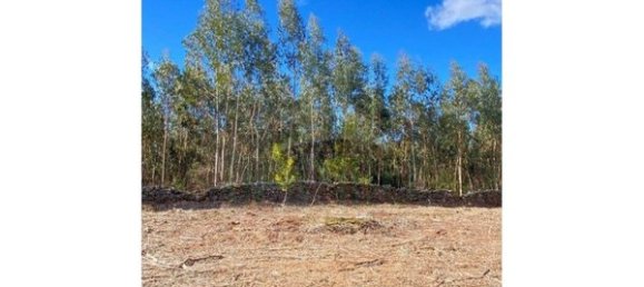 Terreno em Caminha, Portugal 4451 m² N.º 47167 2