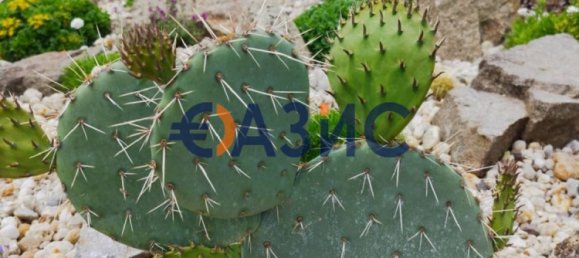 2 Schlafzimmer Haus in Zagortsi, Bulgaria, Nr. 26 22