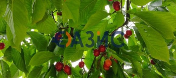 2 Schlafzimmer Haus in Zagortsi, Bulgaria, Nr. 26 25