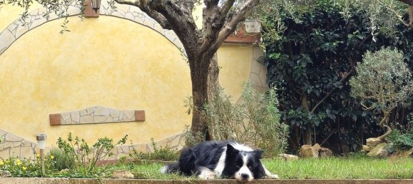 5 rooms Villa in Rome, Italy No. 133132 2