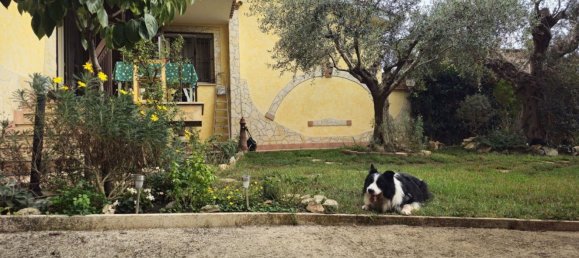 5 rooms Villa in Rome, Italy No. 133132 43