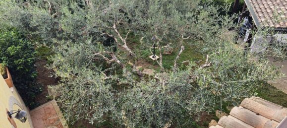 5 rooms Villa in Rome, Italy No. 133132 16