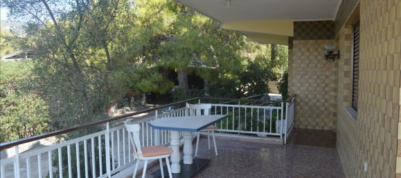 5 غرف نوم عقار تجاري في Megara, Greece رقم 6602 14