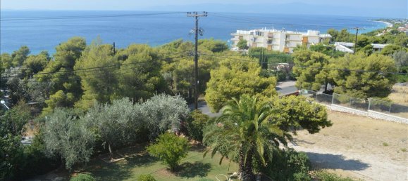 5 Schlafzimmer Gewerbliche Immobilien in Megara, Greece, Nr. 6602 2