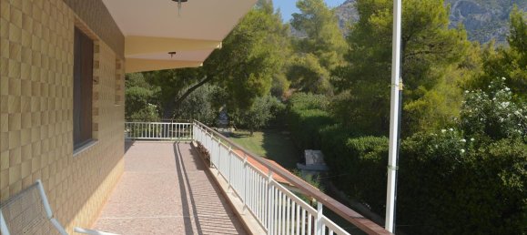 5 غرف نوم عقار تجاري في Megara, Greece رقم 6602 17