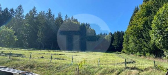 7 rooms Townhouse in Freyung-Grafenau, Germany No. 273008 2