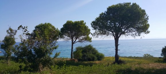  فندق في Zakynthos, Greece 24000متر مربع رقم 6586 4