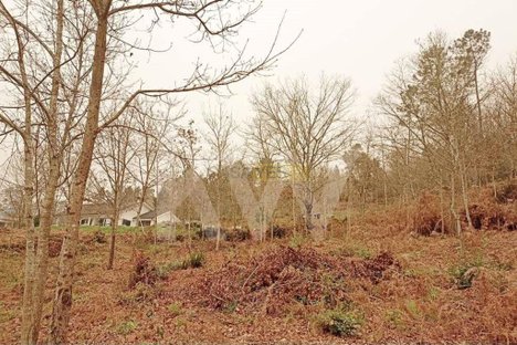 75m² Land in Sao Pedro do Sul, Portugal No. 60965