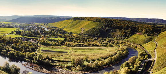 Terreno em Trier-Saarburg, Germany N.º 320426 2
