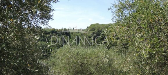 Дом с 9 комнатами в Монтополи ин Валь д’Арно, Италия № 227414 35