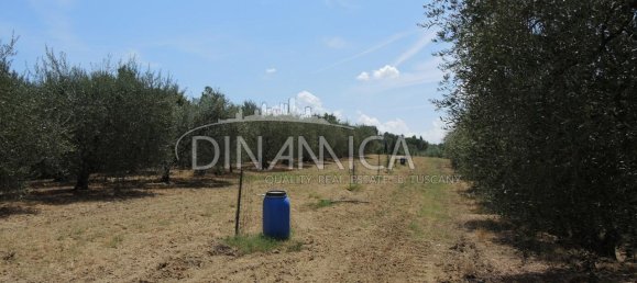 Дом с 9 комнатами в Монтополи ин Валь д’Арно, Италия № 227414 34