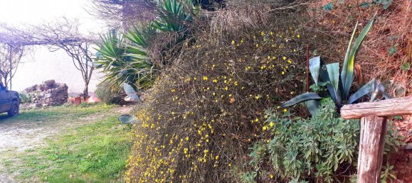 Дом с 9 комнатами в Монтополи ин Валь д’Арно, Италия № 227414 26