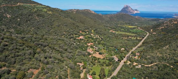 2 bedrooms House in Loiri Porto San Paolo, Italy No. 358137 5