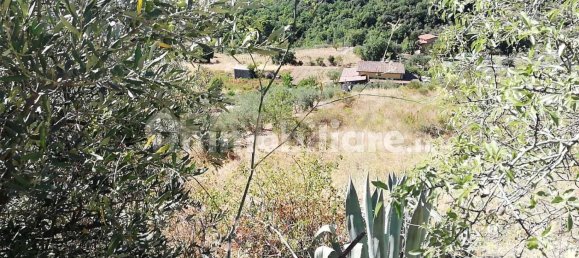  قطعة أرض في Piana degli Albanesi, Italy 4000متر مربع رقم 375241 6