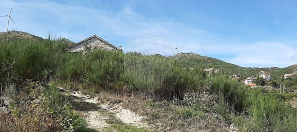 Studio in Tondela, Portugal, Nr. 177401 10